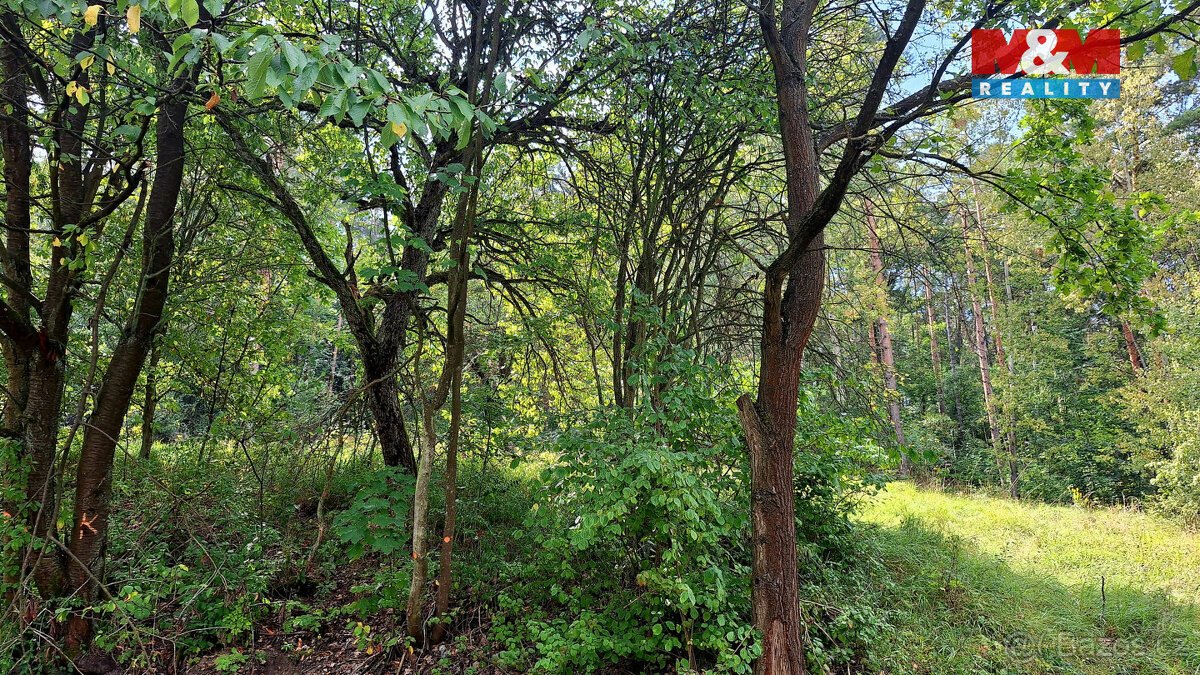 Prodej pozemku + 2 plochy k zástavbě, 10875 m², Úštěk