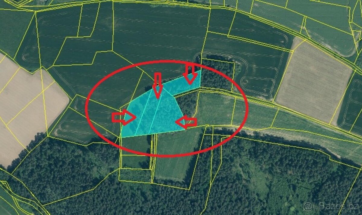 Prodej lesních pozemků v k.ú. Volenice
