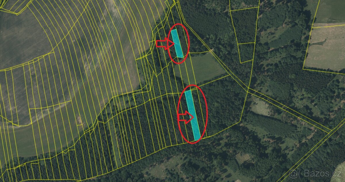 Prodej lesních pozemků k.ú. Olešník