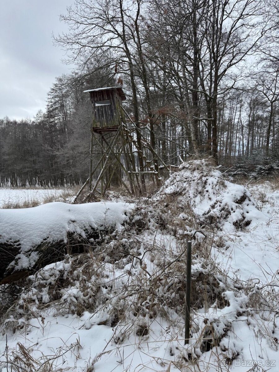 Prodej lesních pozemků k.ú. Olešník