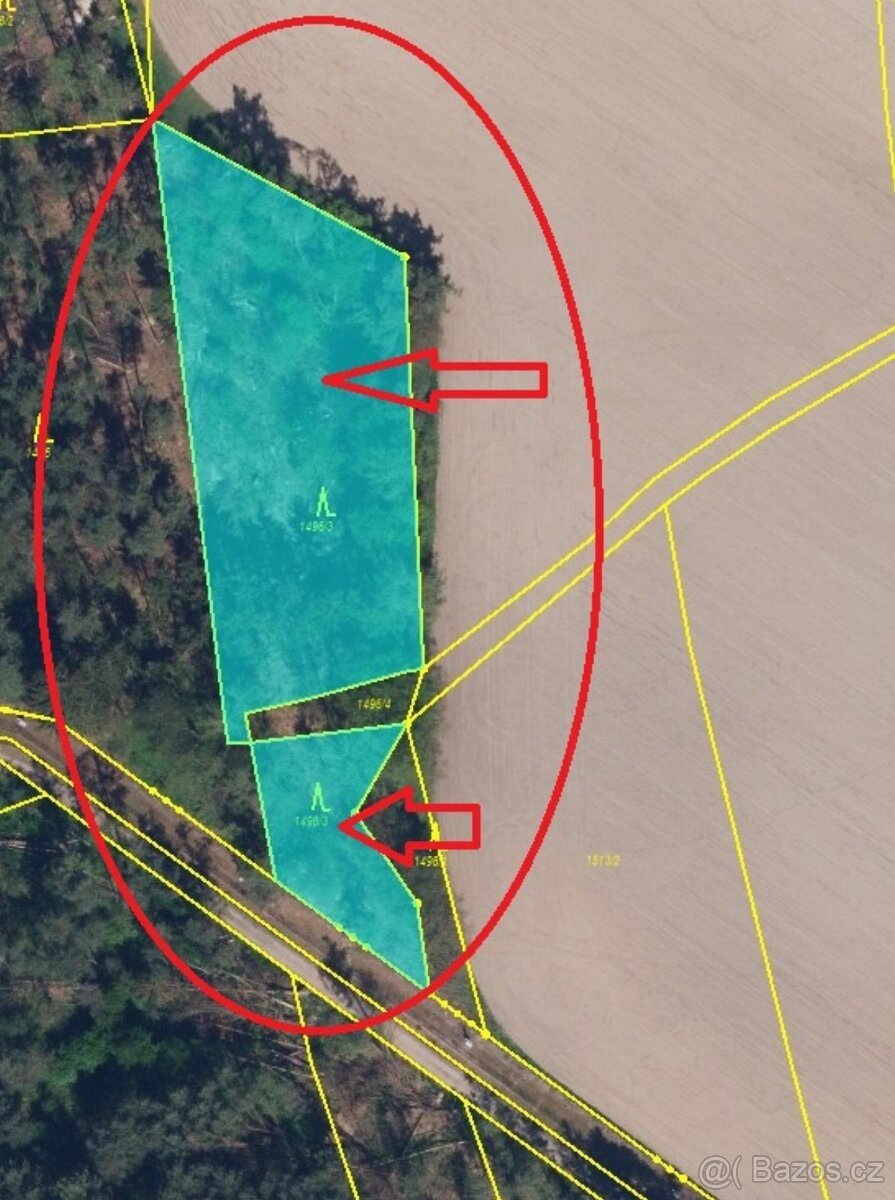 Prodej lesních pozemků v k.ú. Bolehošť