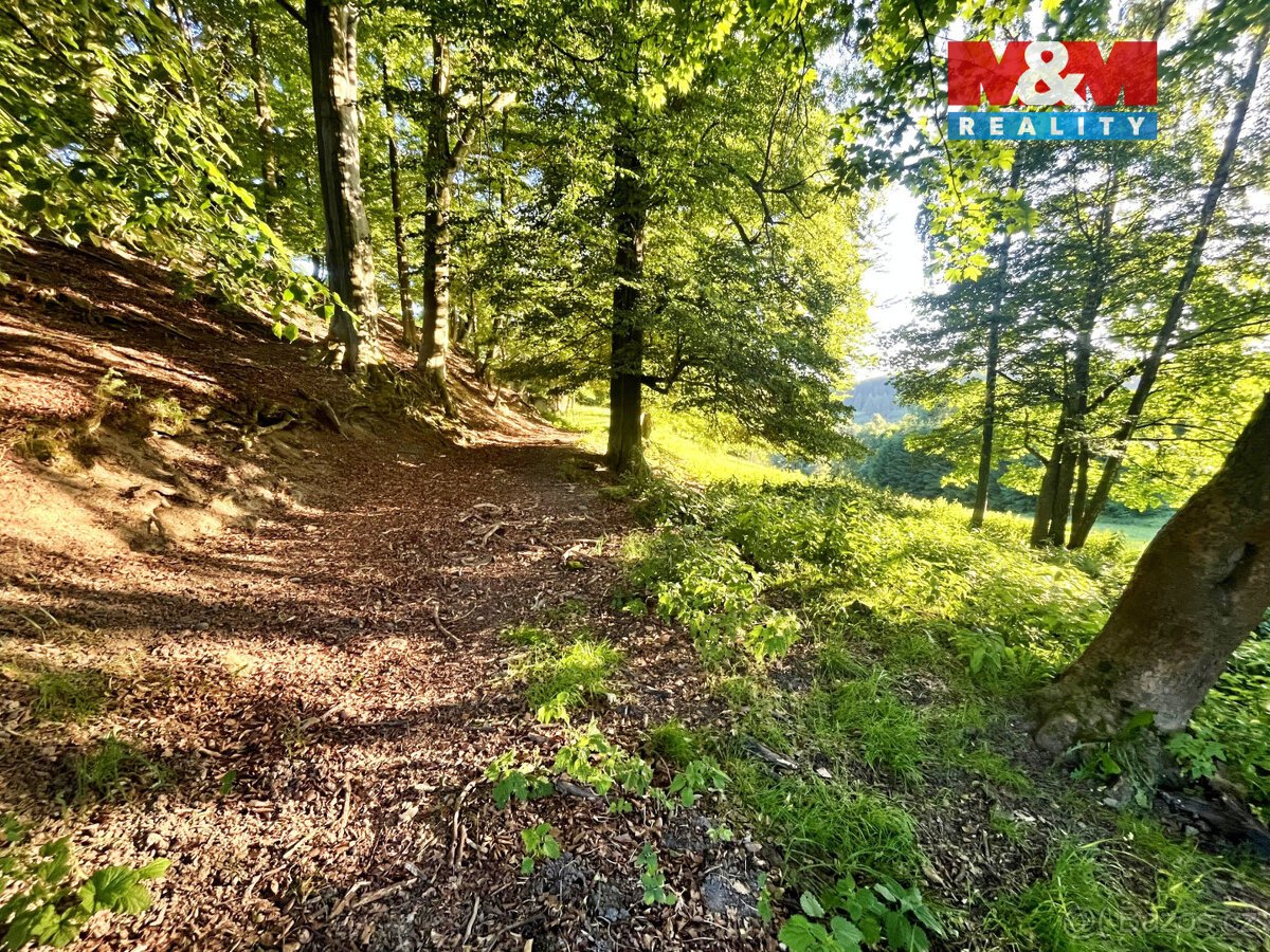 Prodej louky, 5449 m², Teplice nad Metují - Horní Teplice