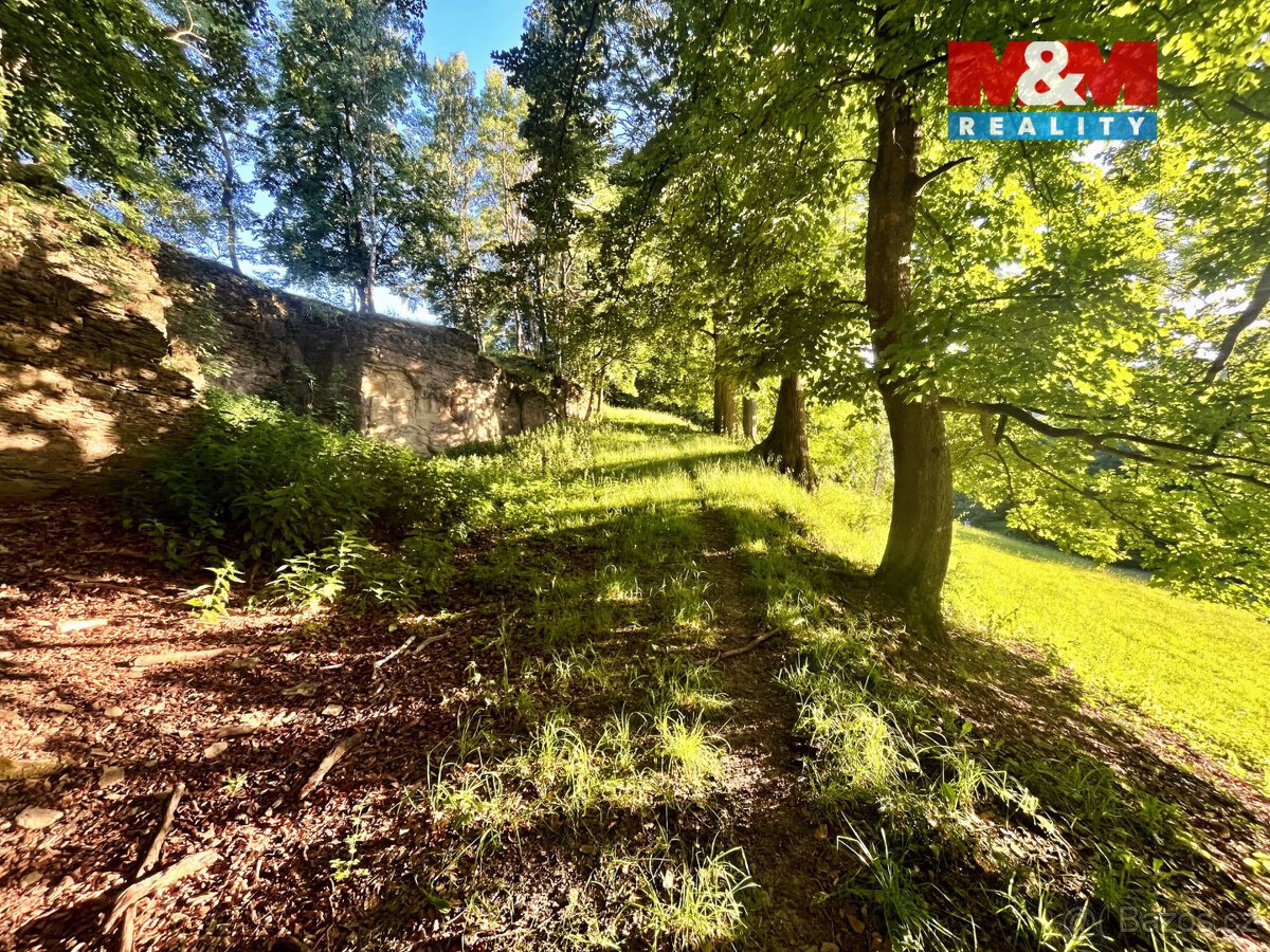 Prodej louky, 5449 m², Teplice nad Metují - Horní Teplice