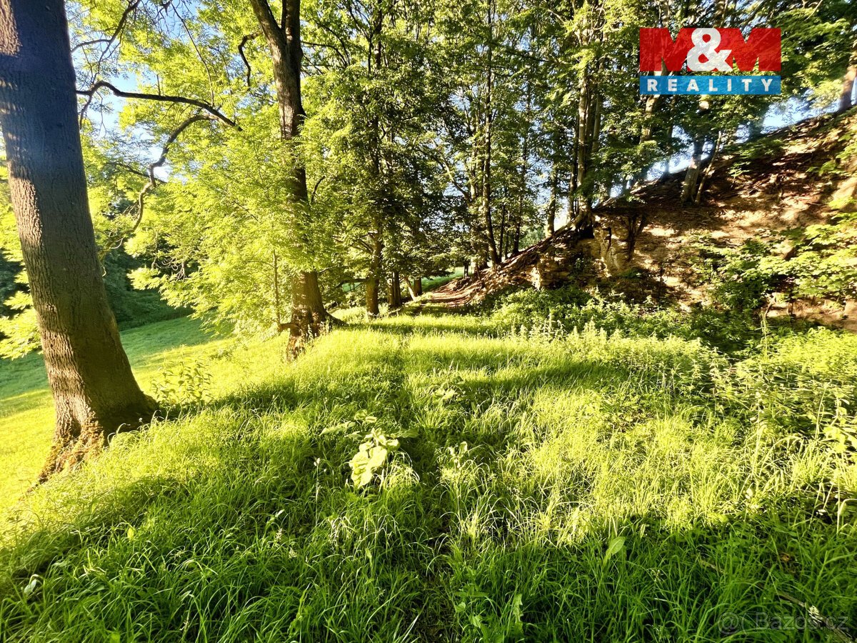 Prodej louky, 5449 m², Teplice nad Metují - Horní Teplice