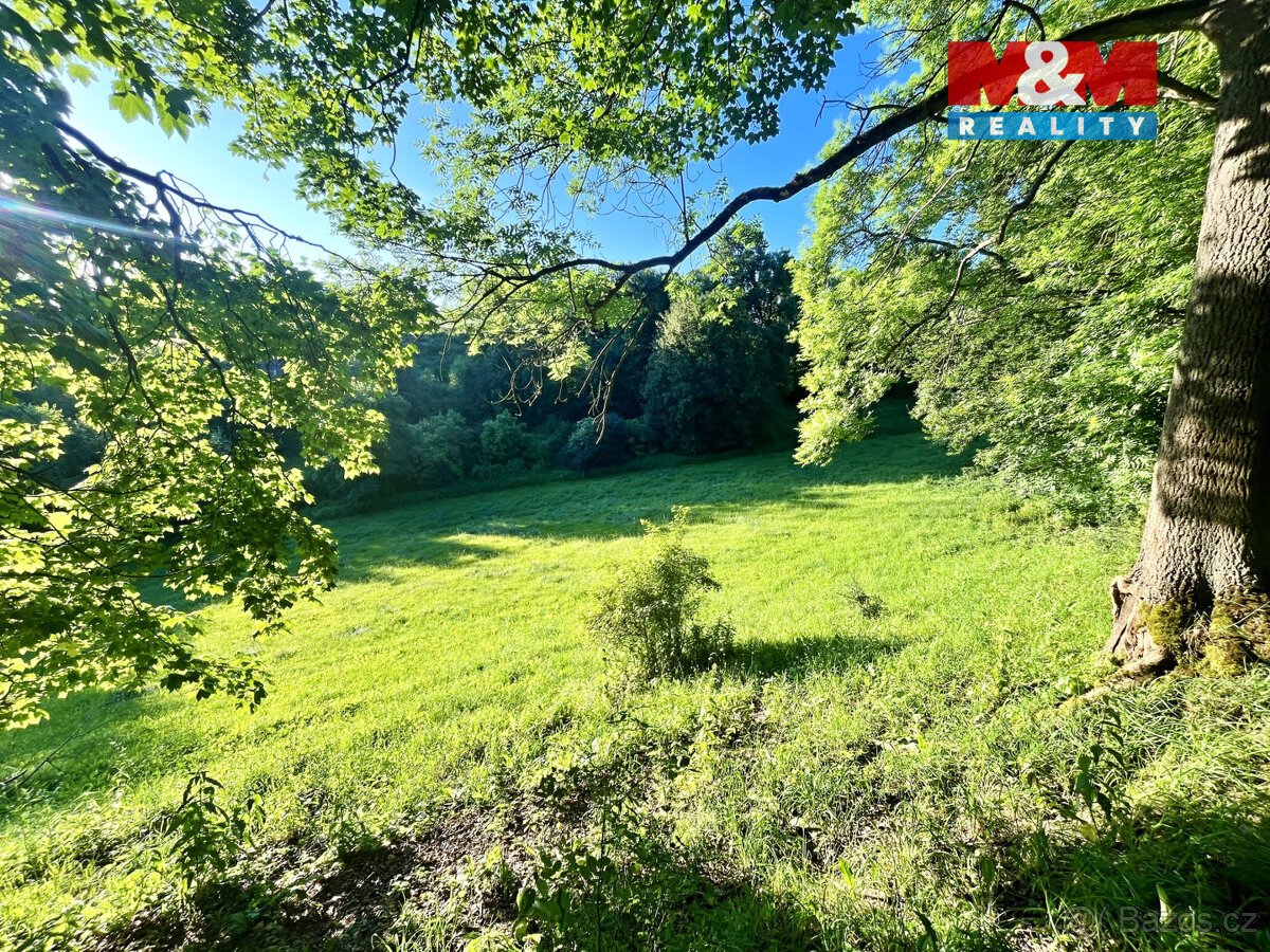 Prodej louky, 5449 m², Teplice nad Metují - Horní Teplice