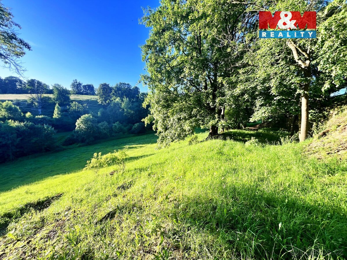 Prodej louky, 5449 m², Teplice nad Metují - Horní Teplice