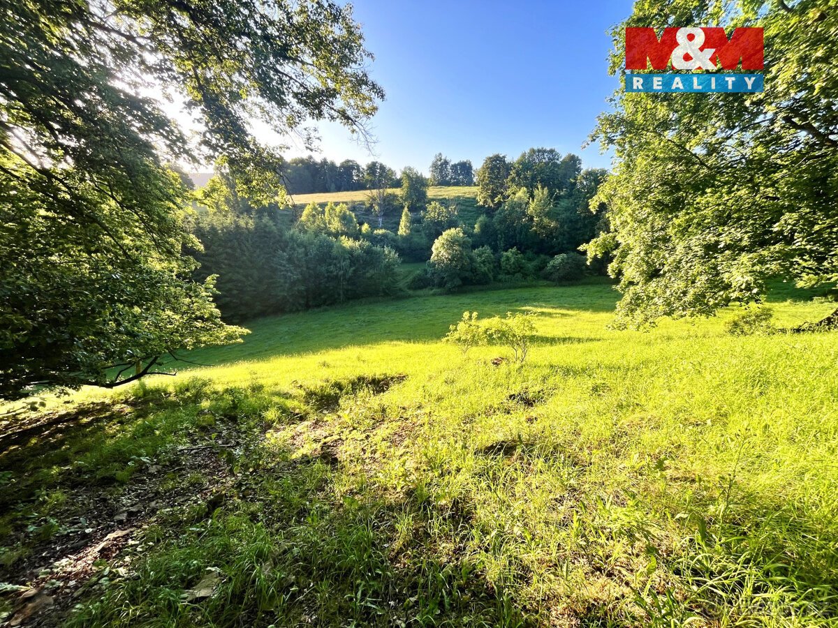 Prodej louky, 5449 m², Teplice nad Metují - Horní Teplice