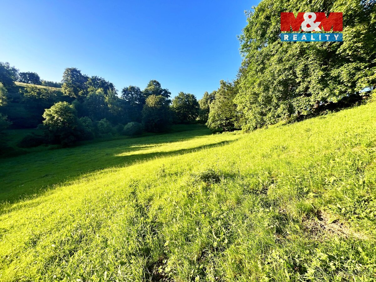 Prodej louky, 5449 m², Teplice nad Metují - Horní Teplice