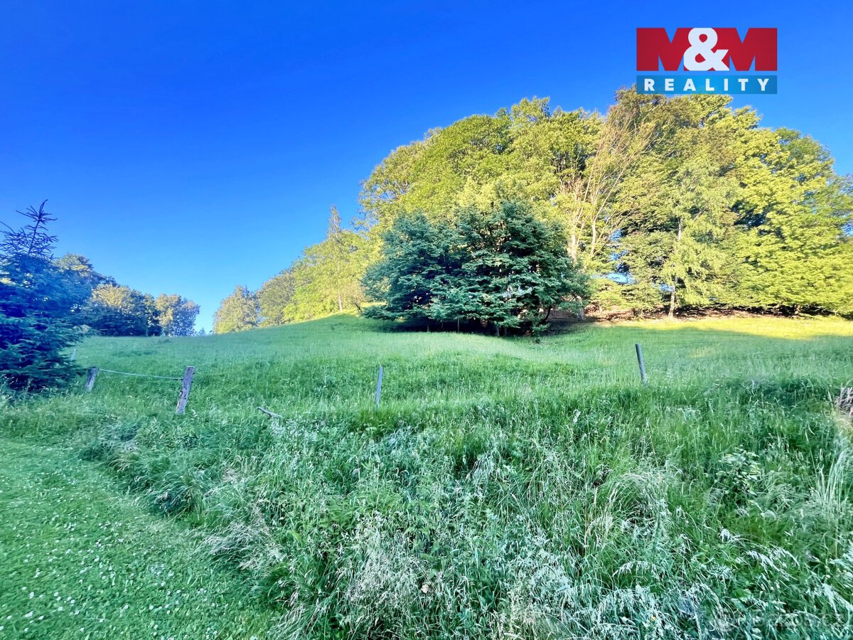 Prodej louky, 5449 m², Teplice nad Metují - Horní Teplice