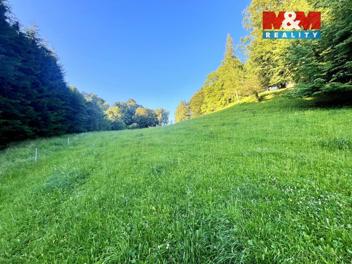 Prodej louky, 5449 m², Teplice nad Metují - Horní Teplice