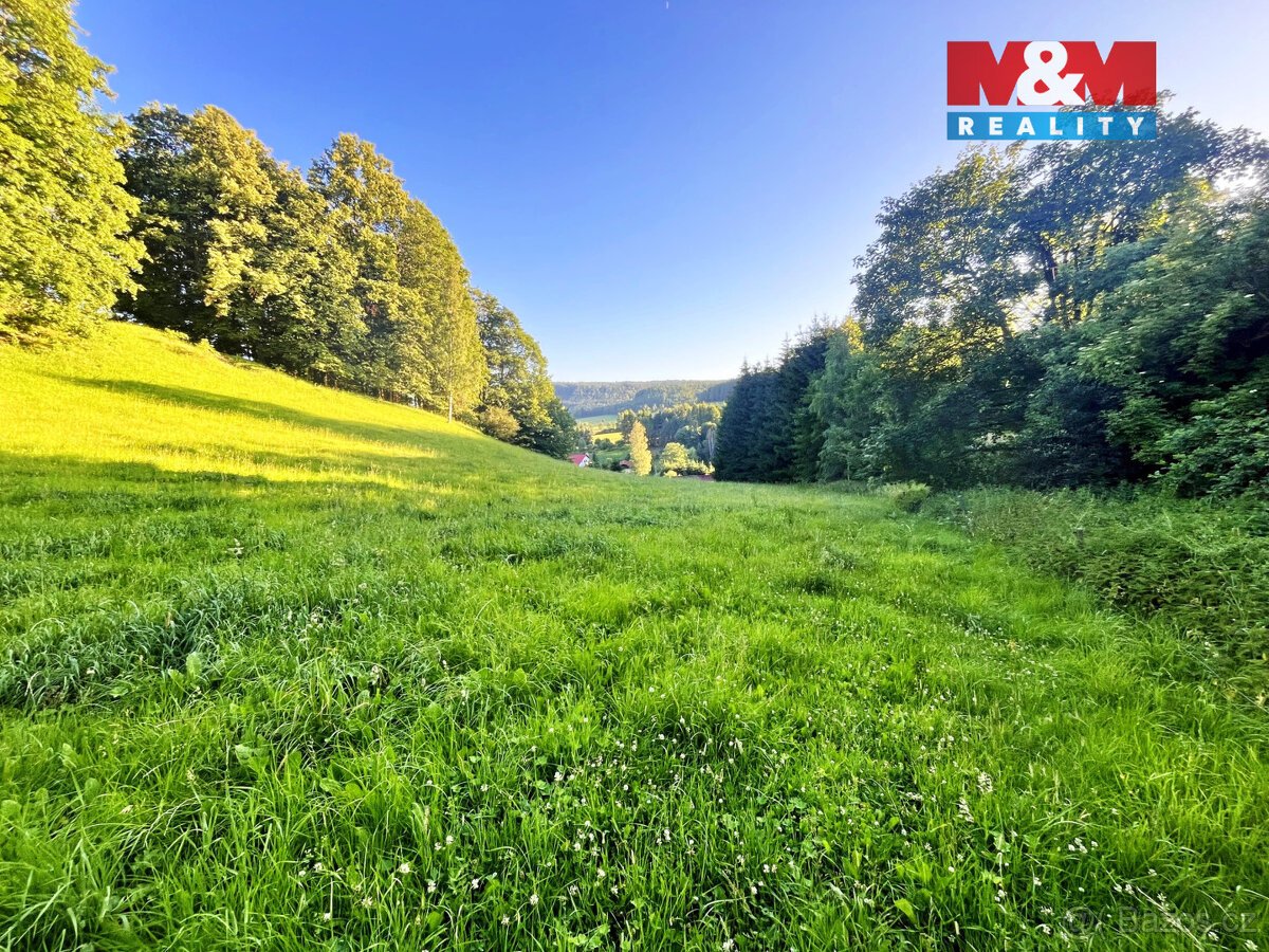 Prodej louky, 5449 m², Teplice nad Metují - Horní Teplice