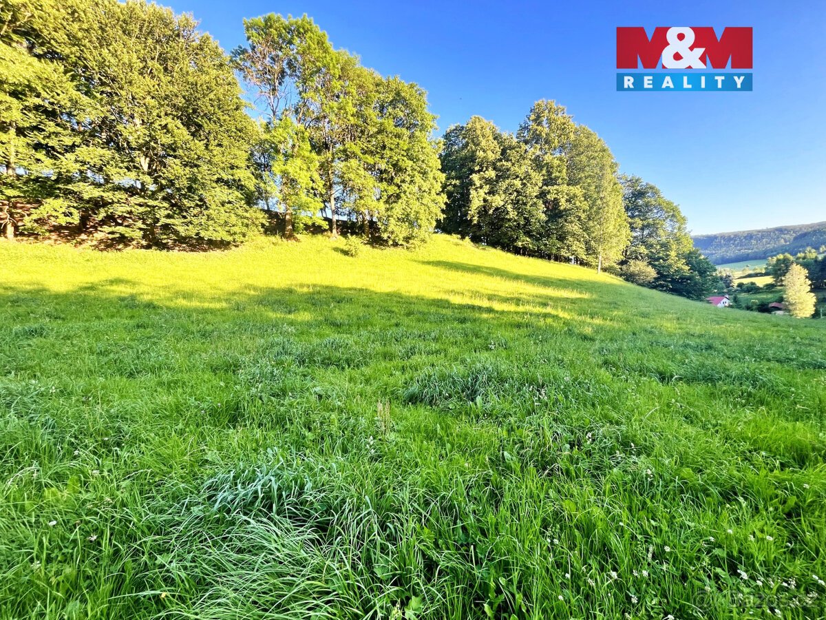 Prodej louky, 5449 m², Teplice nad Metují - Horní Teplice