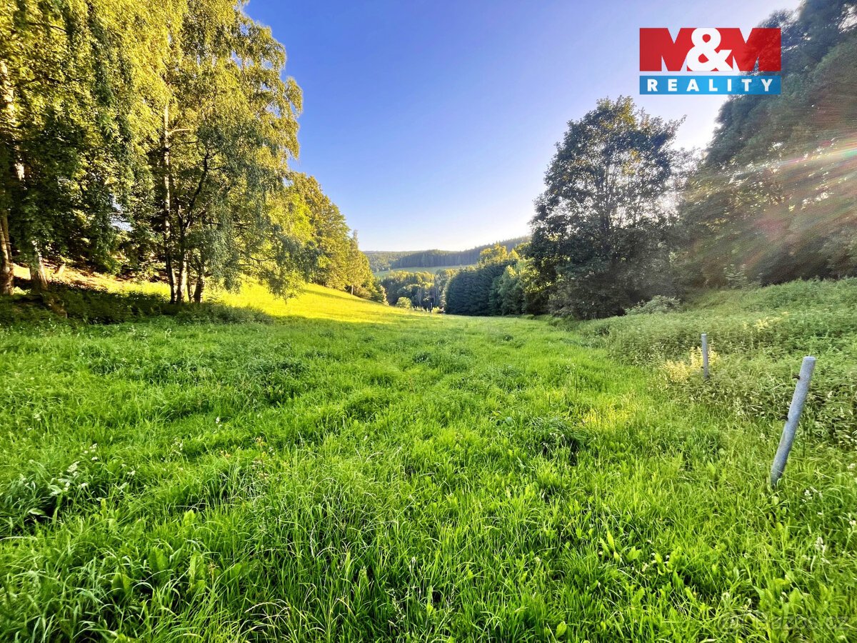 Prodej louky, 5449 m², Teplice nad Metují - Horní Teplice