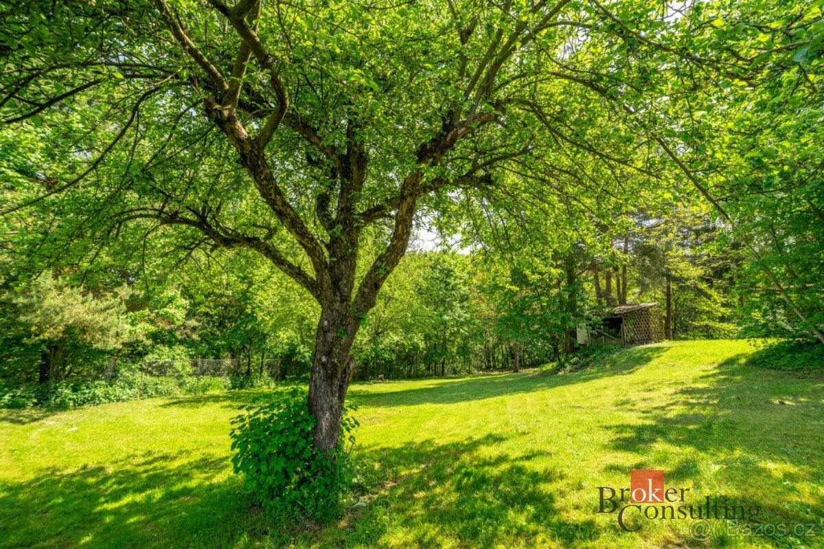 Prodej, pozemky/ostatní, 4878 m2, U Koupaliště, Říčany, Brno
