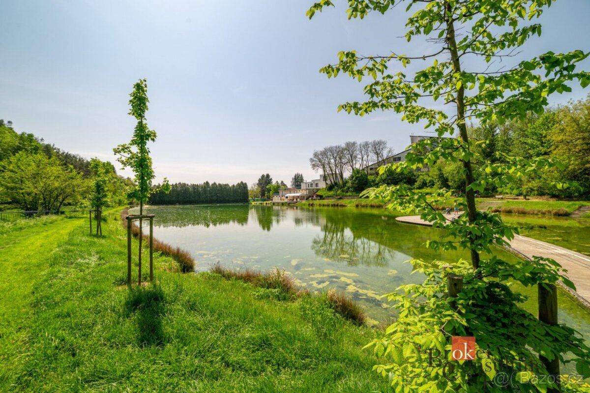 Prodej, pozemky/ostatní, 4878 m2, U Koupaliště, Říčany, Brno