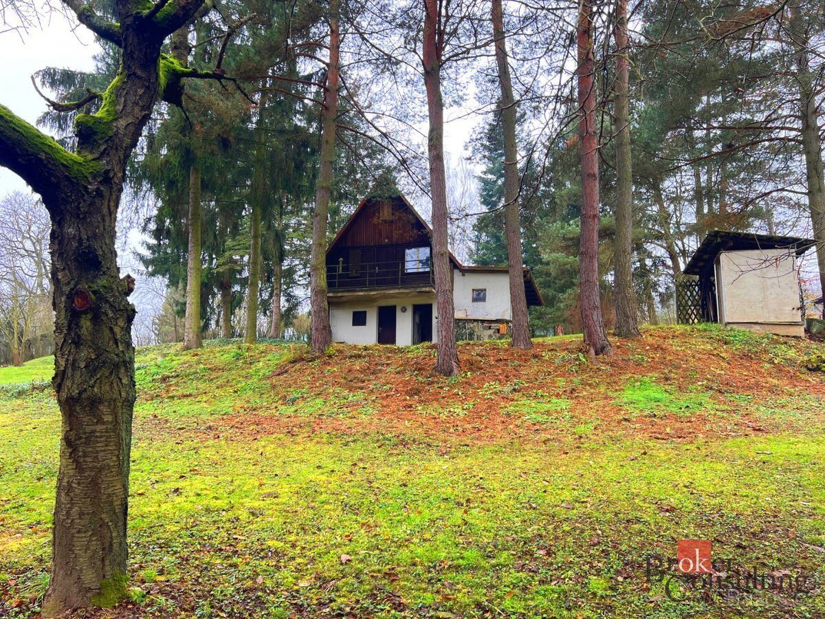 Prodej, pozemky/ostatní, 4878 m2, U Koupaliště, Říčany, Brno