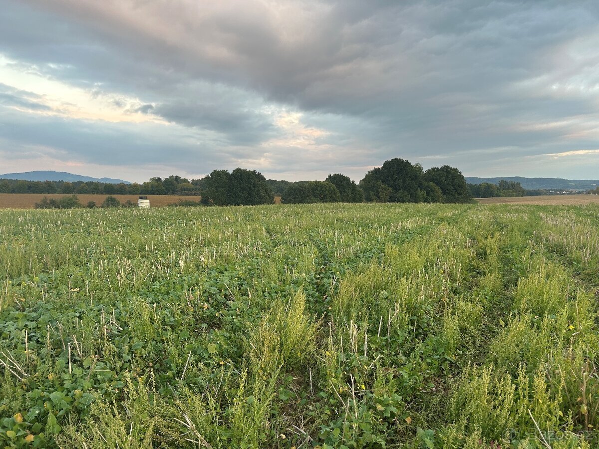 Prodej stavebního pozemku 1 203 m² - Paceřice