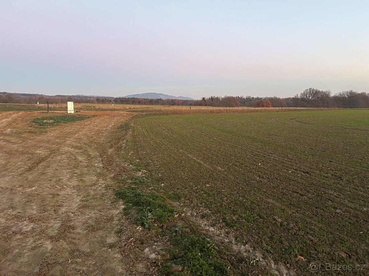 Prodej stavebního pozemku 1 203 m² - Paceřice