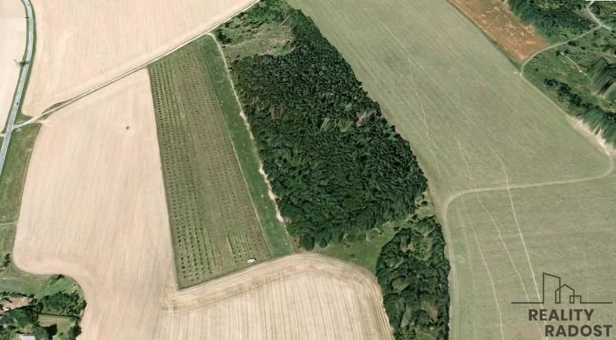 Prodej pozemku   -  SAD s ovocnými stromy  40 000m 2 -   Kam