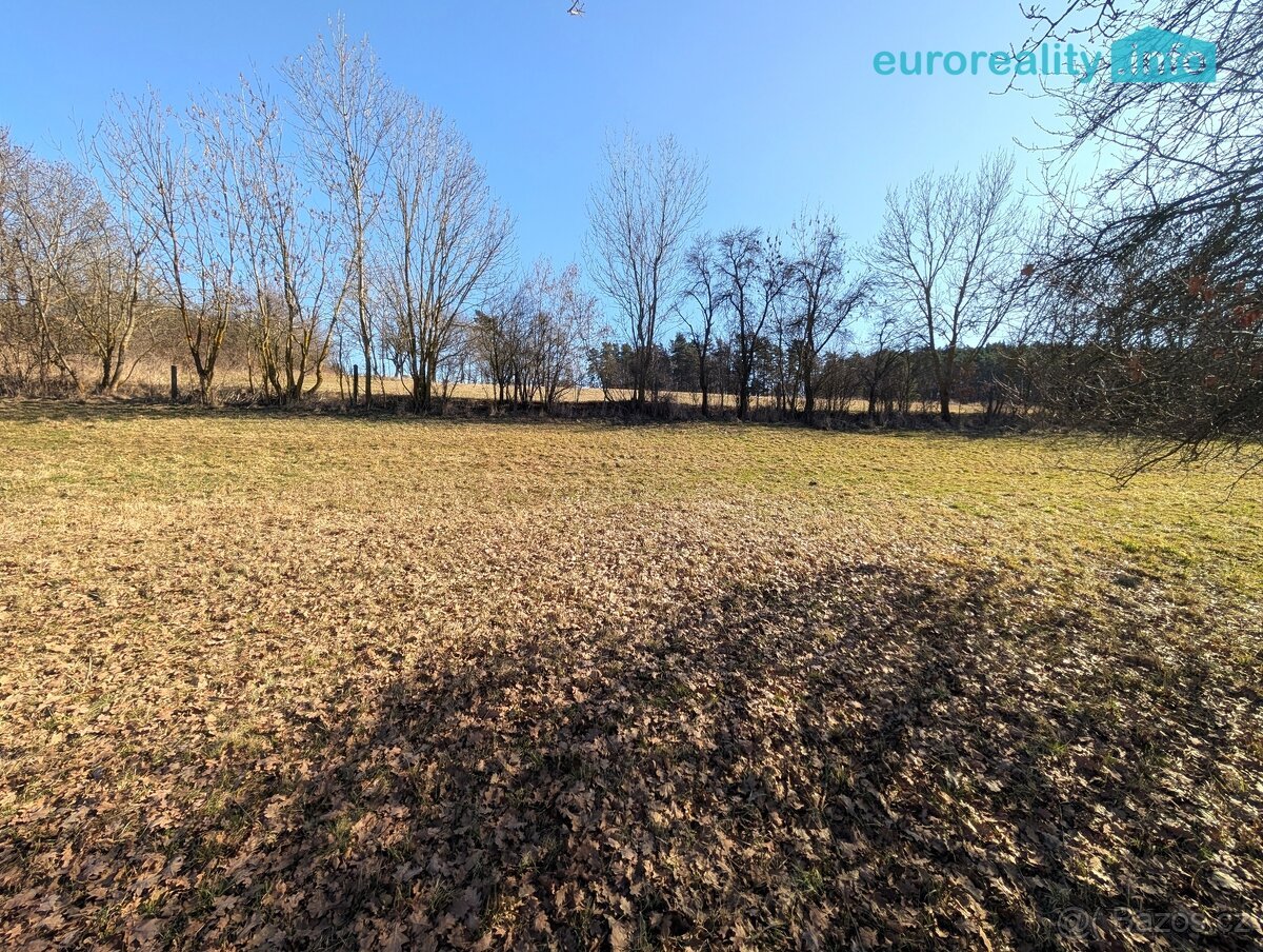 Prodej, stavební pozemek, 1 125 m2, Netonice