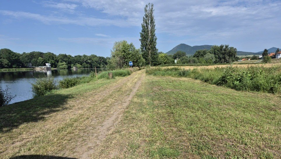 Píšťany-prodej pozemku u Labe 5.816 m2