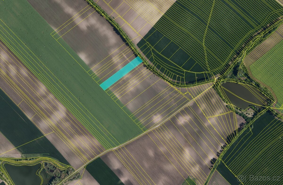 Prodej pole s velmi dobrou bonitou – 1 ha – Nikolčice