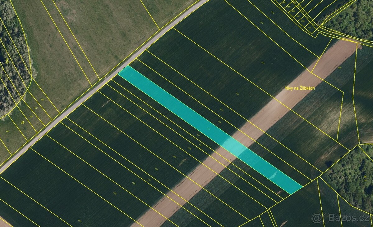 Prodej pole s výbornou bonitou – 4 049 m2 – Diváky