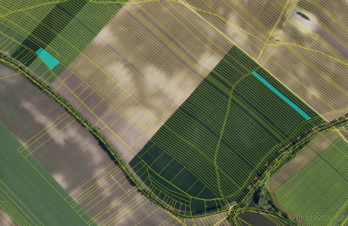 Prodej polí s velmi dobrou bonitou – 1,7 ha – Šitbořice