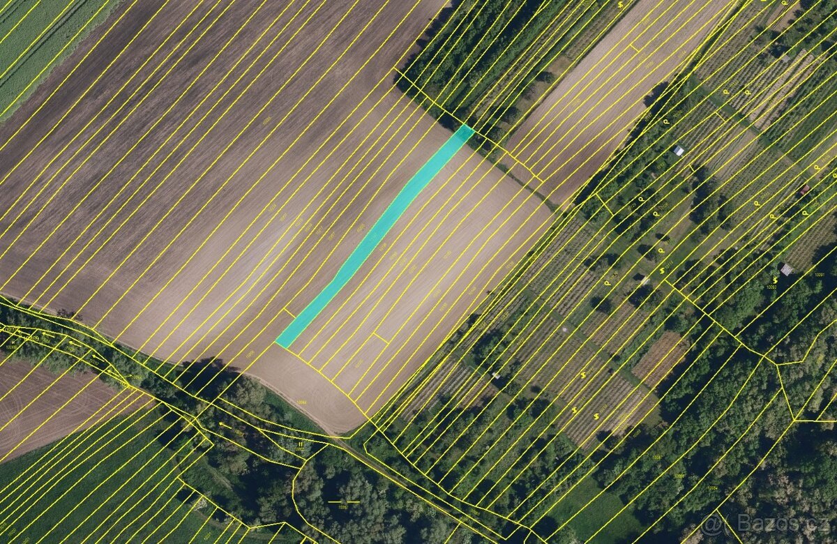 Prodej polí s velmi dobrou bonitou – 1,7 ha – Šitbořice