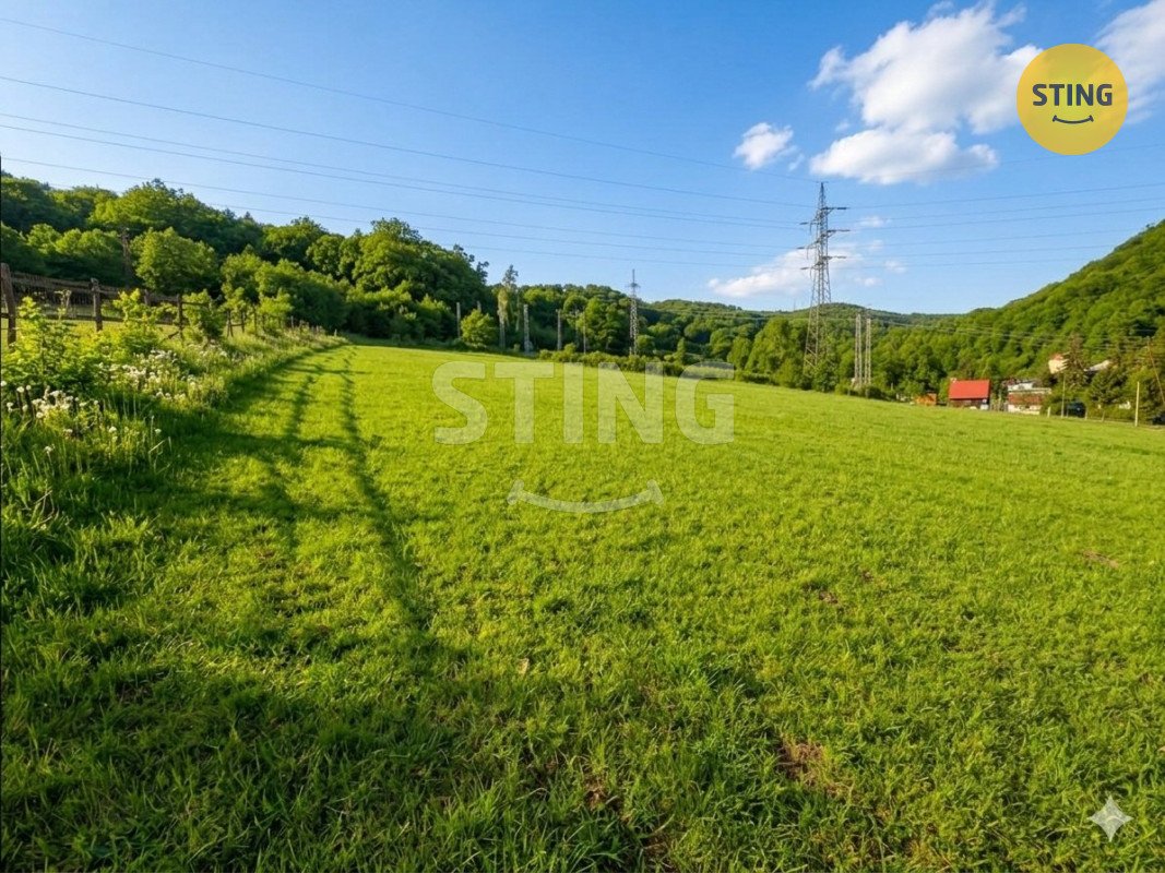 Investiční pozemek 8 439 m² pro výstavbu RD – Ústí n, 135013