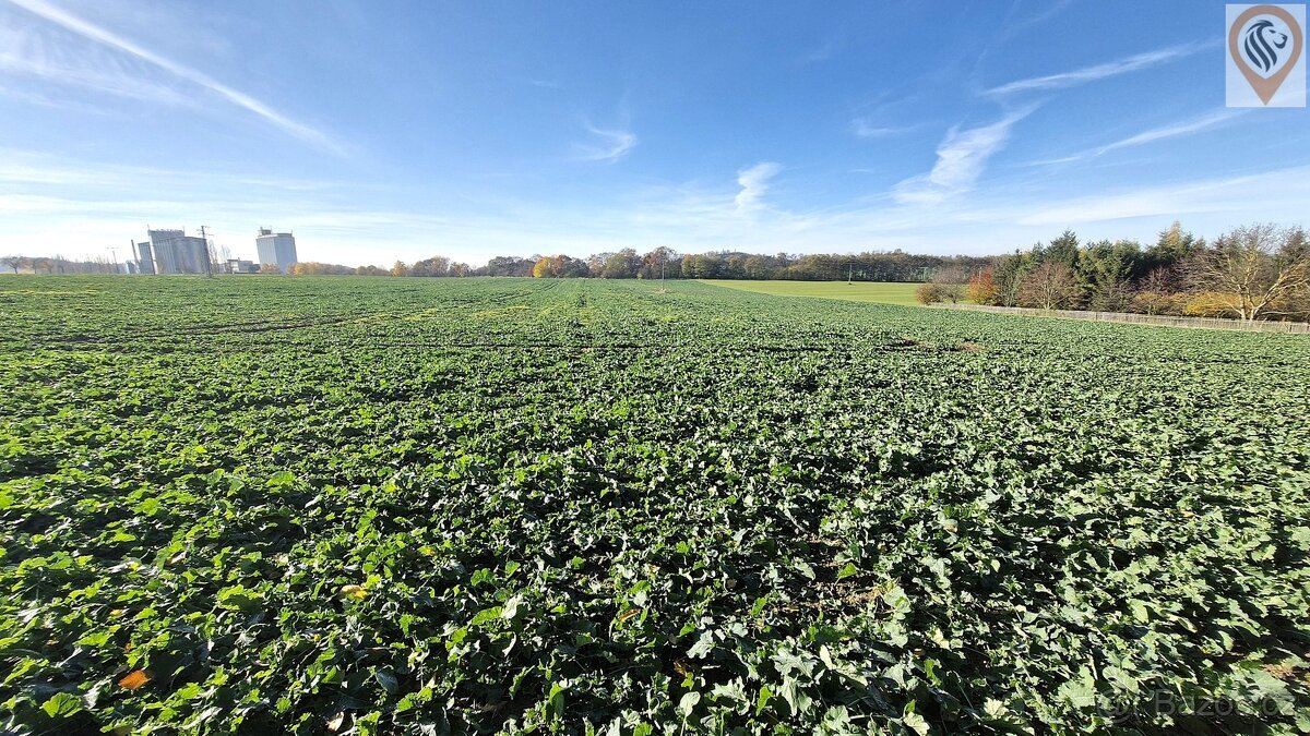 Stavební a zemědělský pozemek – Záhoří, 6 km od Písku