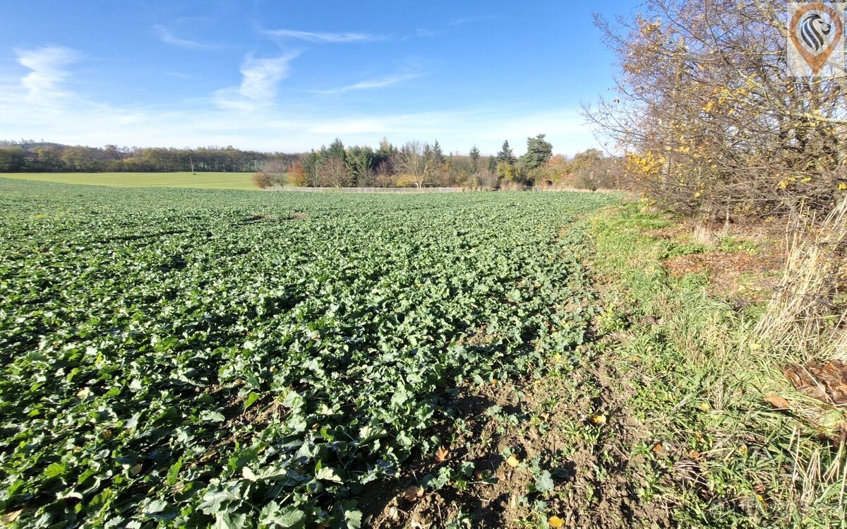 Stavební a zemědělský pozemek – Záhoří, 6 km od Písku