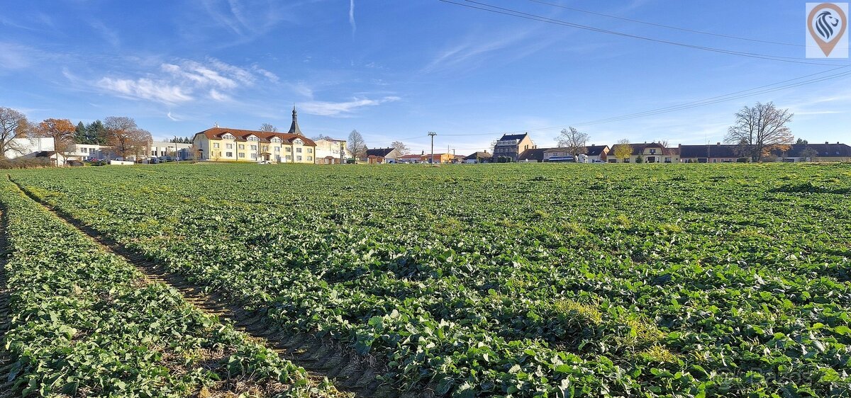 Stavební a zemědělský pozemek – Záhoří, 6 km od Písku