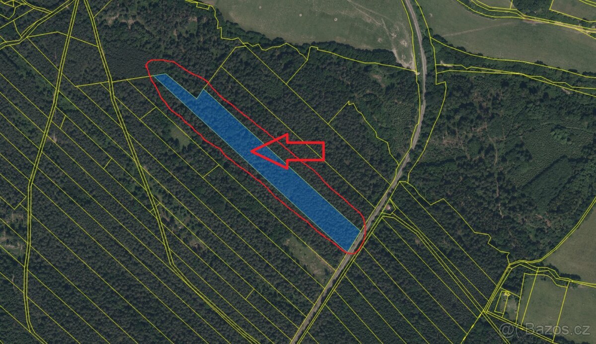 Prodej lesního pozemku k.ú. Zborov