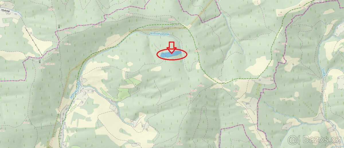 Prodej lesního pozemku k.ú. Janová