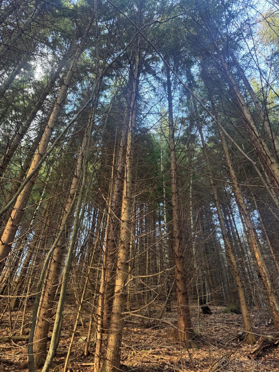 Prodej pozemků k.ú. Huslenky (1)