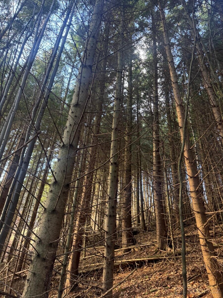 Prodej pozemků k.ú. Huslenky (1)