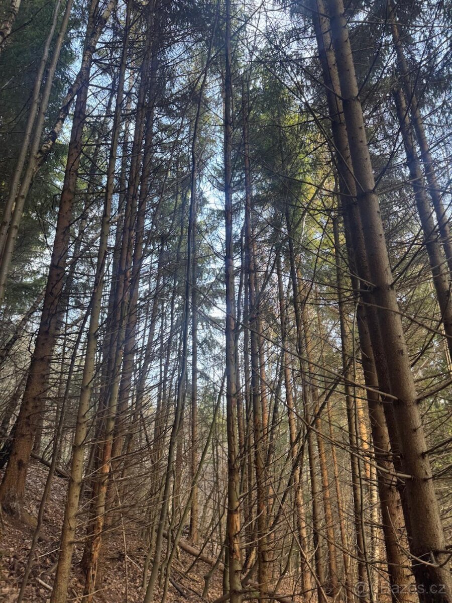 Prodej pozemků k.ú. Huslenky (1)