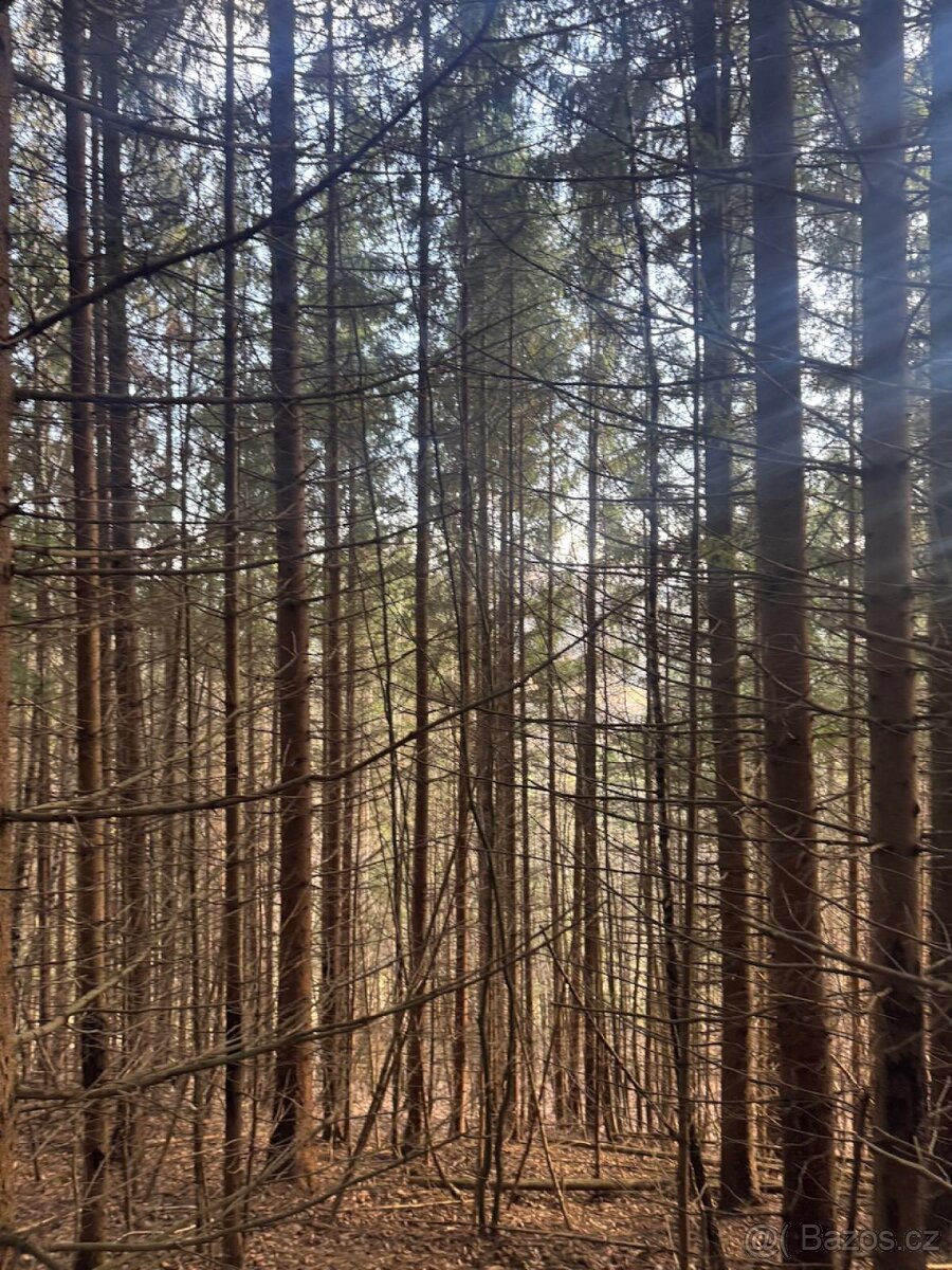 Prodej pozemků k.ú. Huslenky (1)