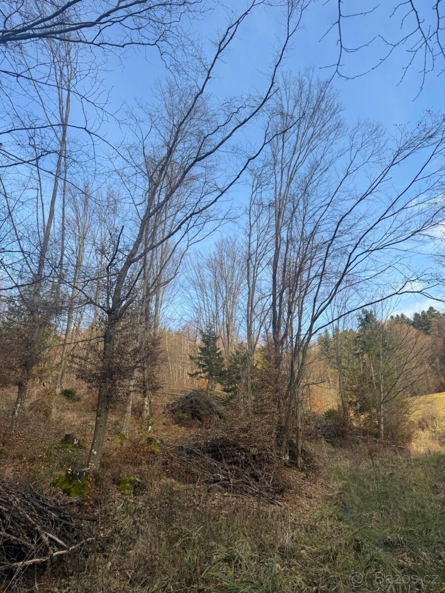 Prodej pozemků k.ú. Huslenky (1)