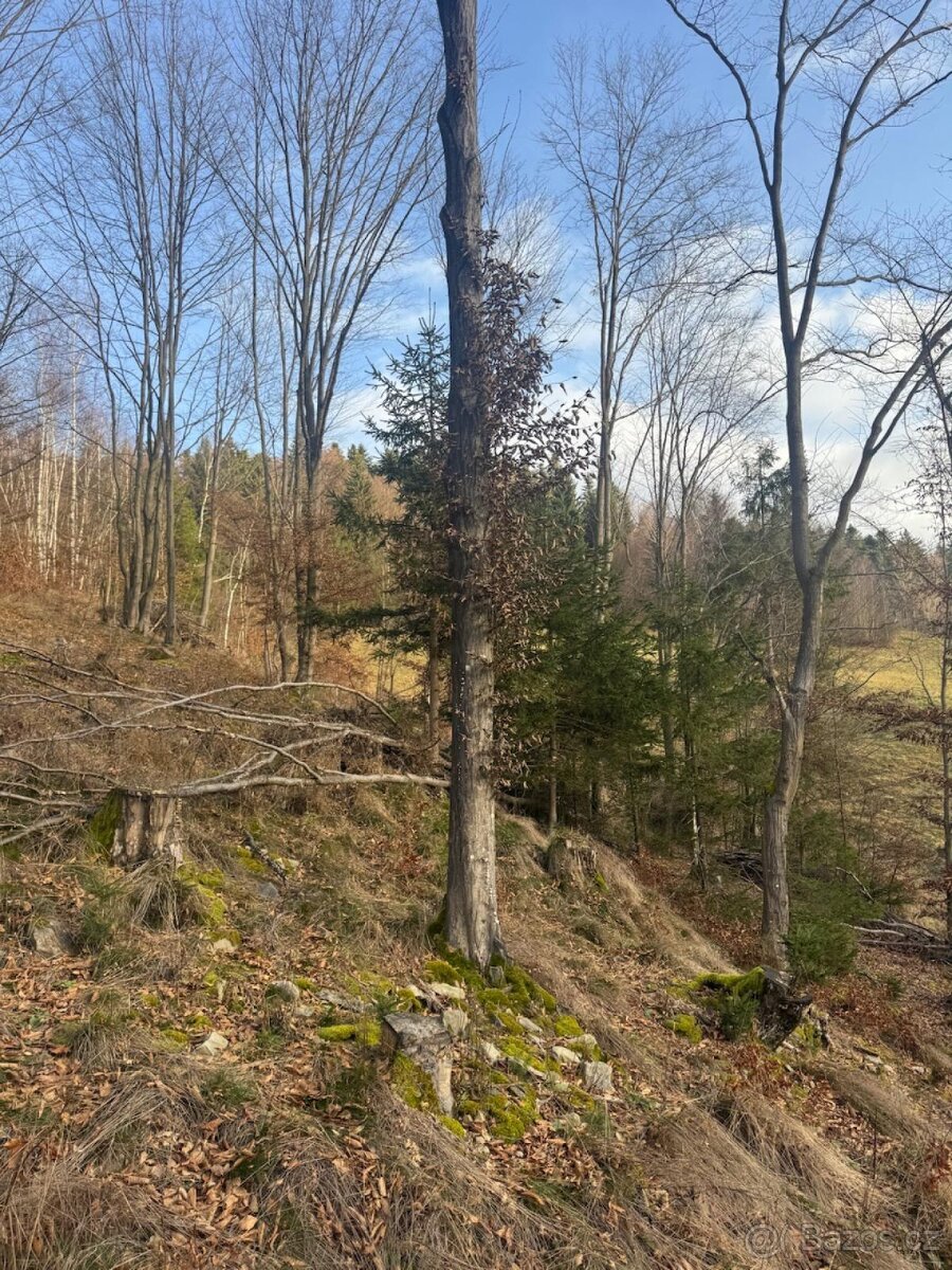 Prodej pozemků k.ú. Huslenky (1)