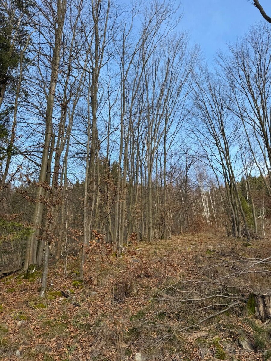 Prodej pozemků k.ú. Huslenky (1)