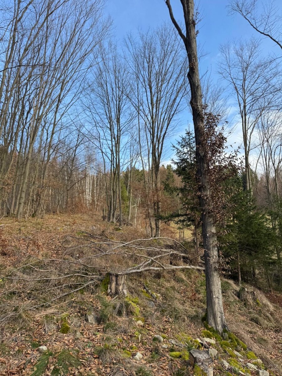 Prodej pozemků k.ú. Huslenky (1)