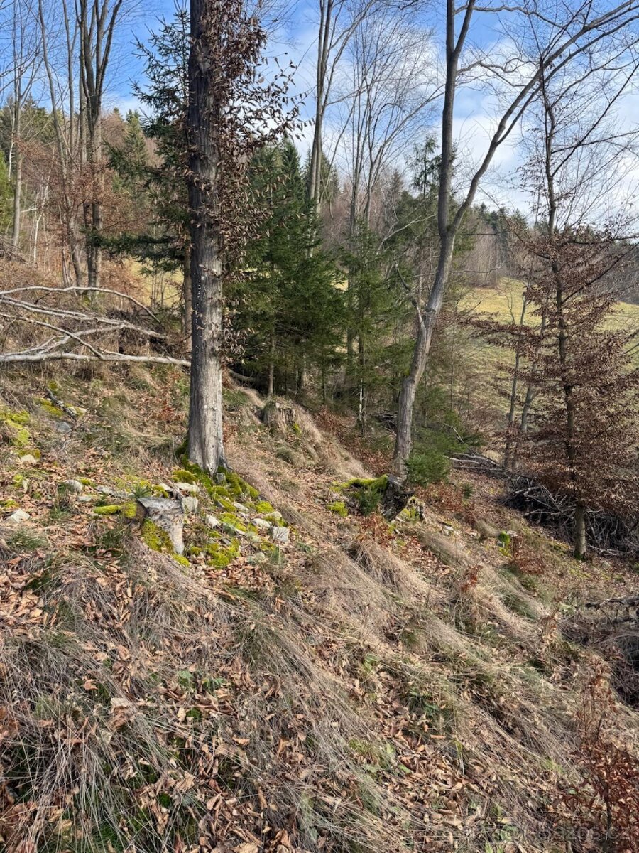 Prodej pozemků k.ú. Huslenky (1)