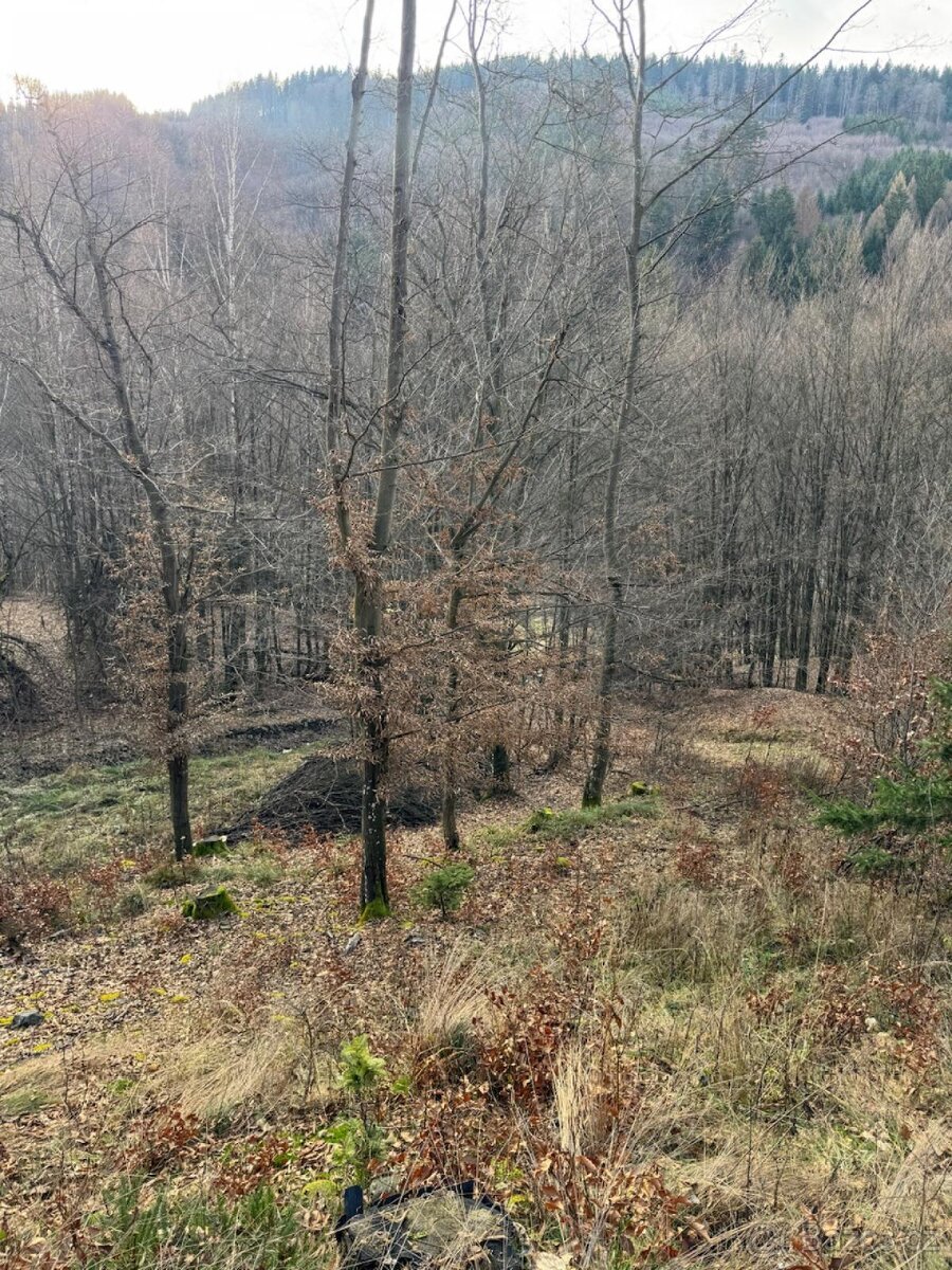 Prodej pozemků k.ú. Huslenky (1)