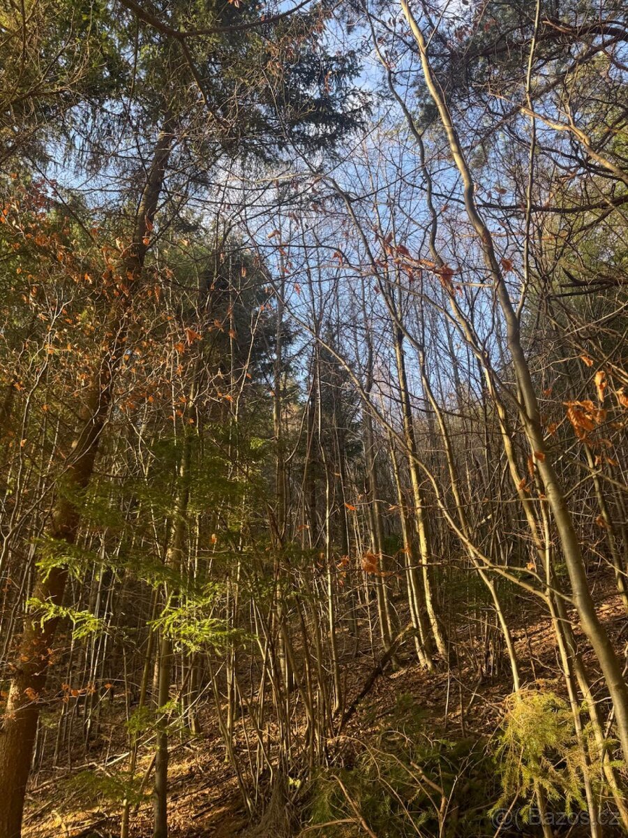 Prodej pozemků k.ú. Huslenky (1)