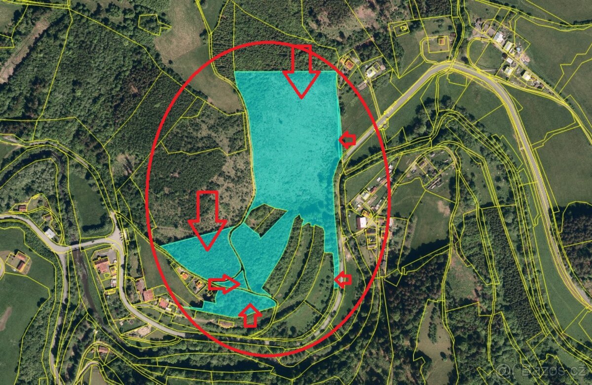 Prodej lesních pozemků k.ú. Malá Bystřice