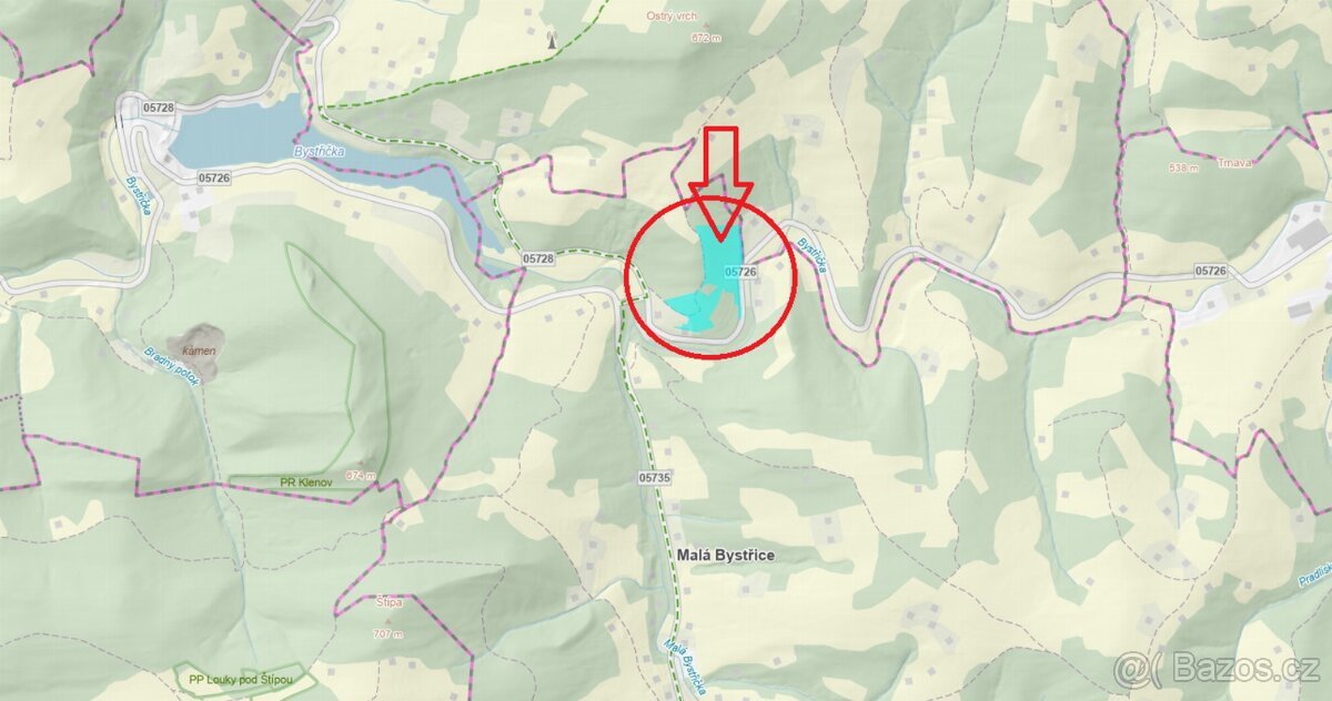 Prodej lesních pozemků k.ú. Malá Bystřice