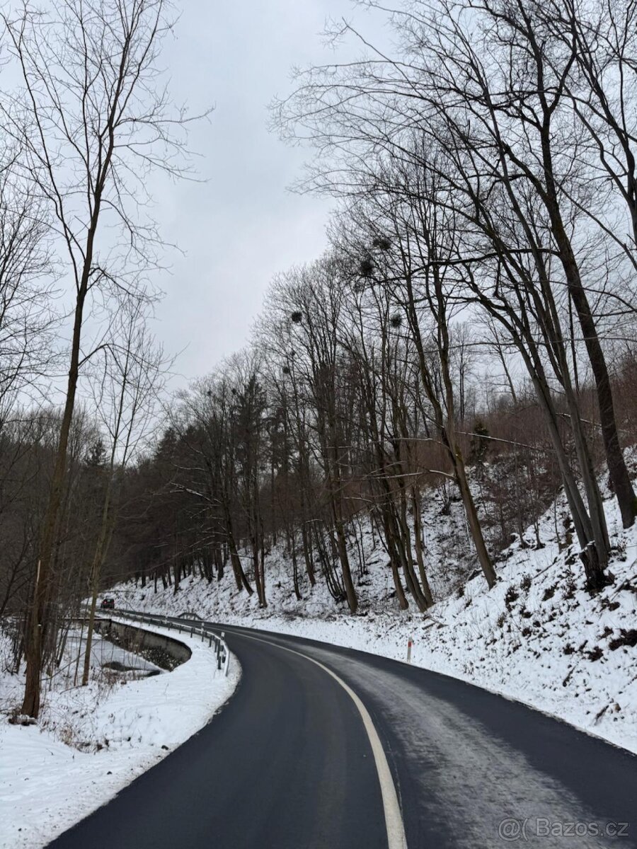 Prodej lesních pozemků k.ú. Malá Bystřice