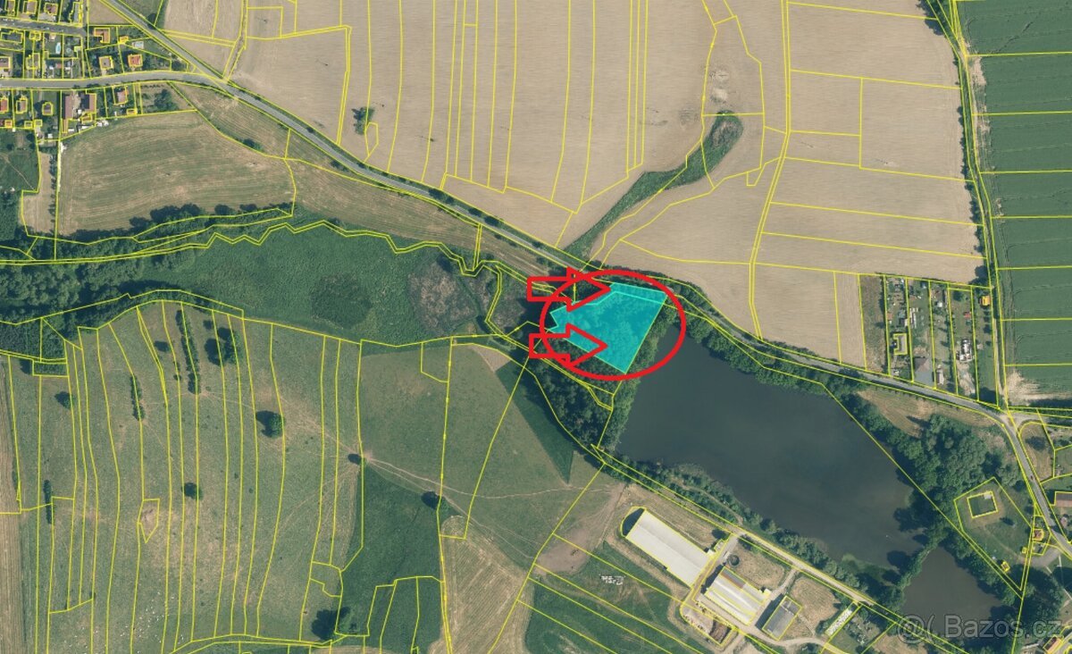 Prodej lesního pozemku v k.ú. Měcholupy u Předslavi